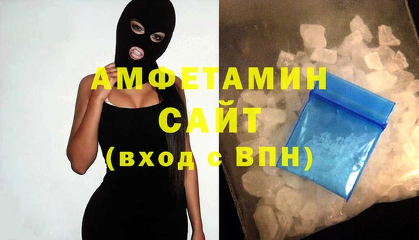 спиды Ельня