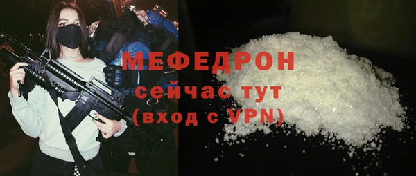 спиды Ельня