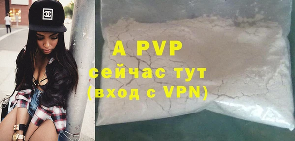 прущие грибы Елабуга