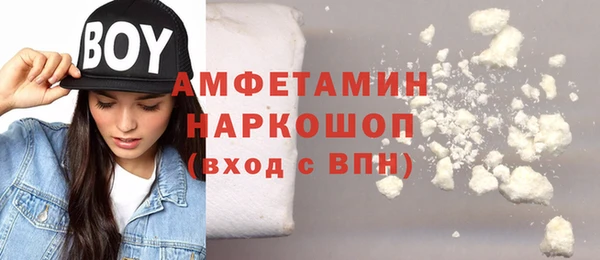 спиды Ельня