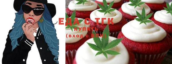 спиды Ельня