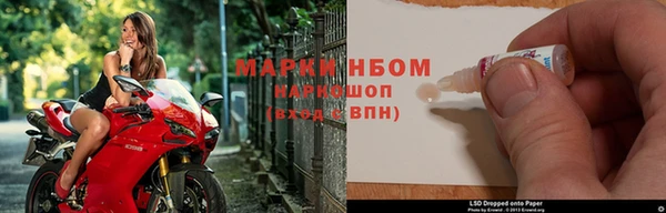 прущие грибы Елабуга