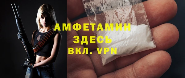 спиды Ельня