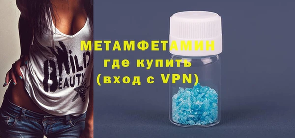 прущие грибы Елабуга