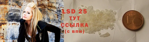 прущие грибы Елабуга