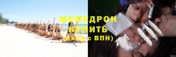 спиды Ельня
