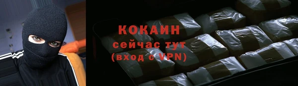 прущие грибы Елабуга
