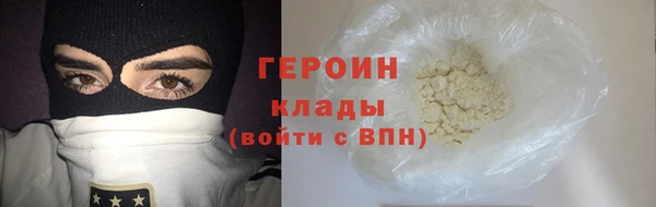 прущие грибы Елабуга
