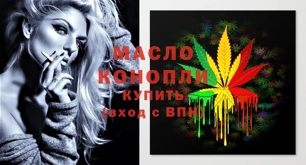 спиды Ельня