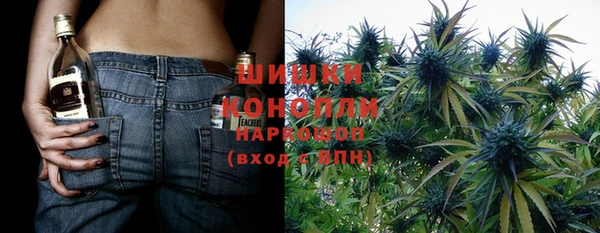 прущие грибы Елабуга