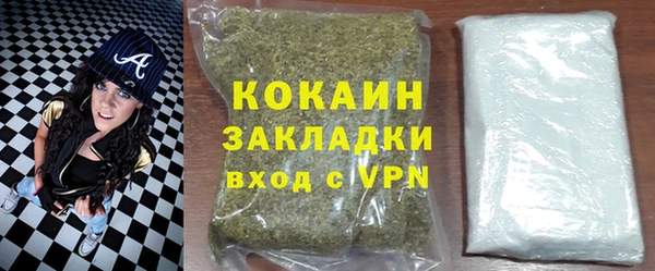 спиды Ельня