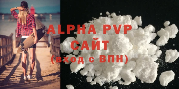 прущие грибы Елабуга