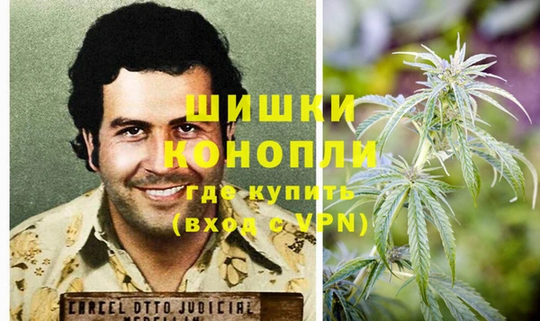 спиды Ельня