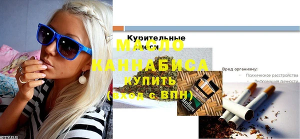 спиды Ельня