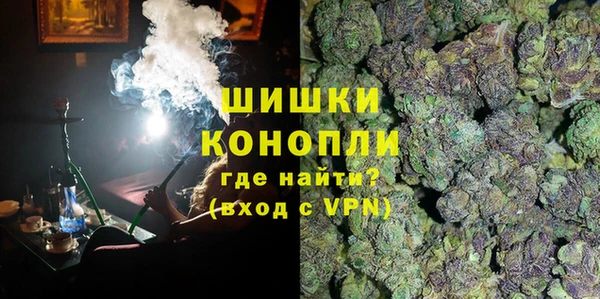 прущие грибы Елабуга